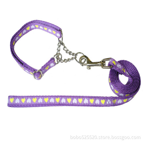 fashion pet collar and leash